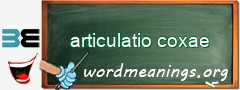 WordMeaning blackboard for articulatio coxae